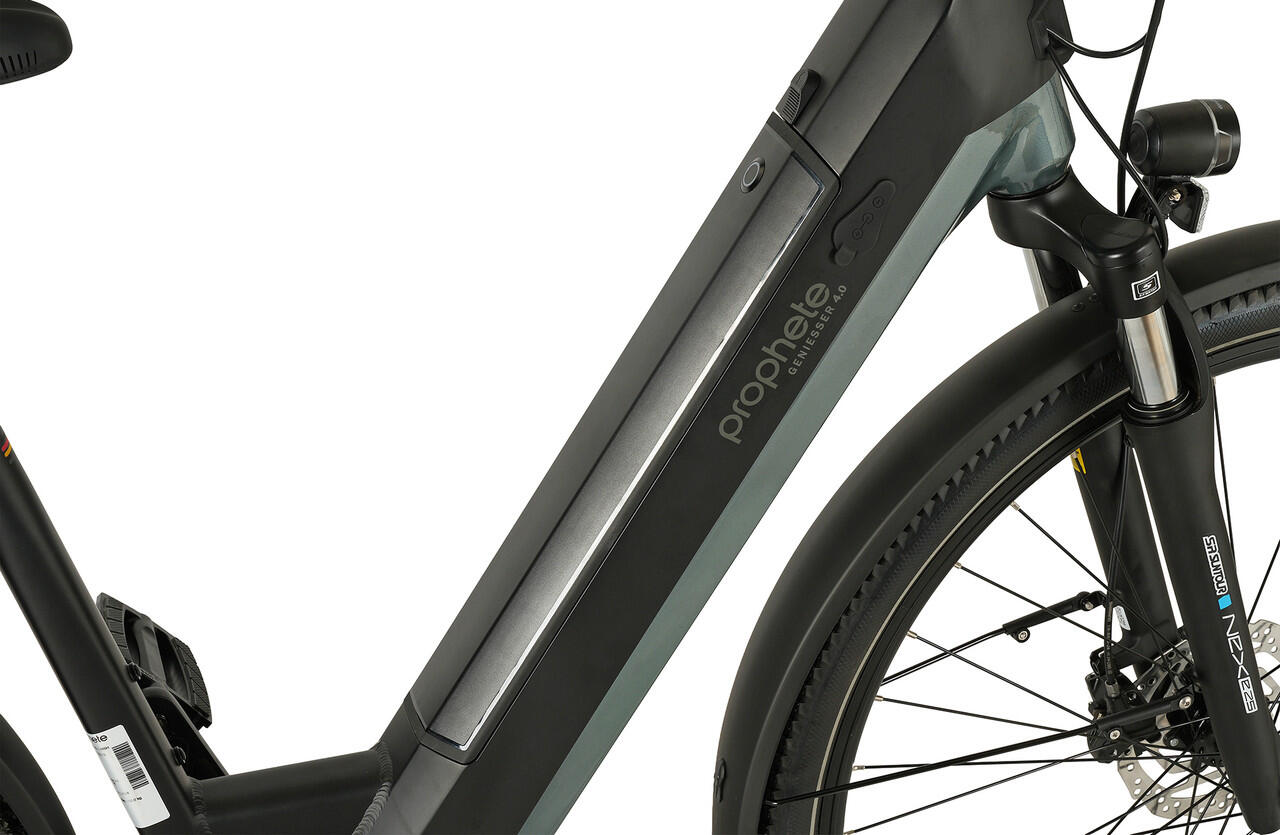 picture-7471.jpg PROPHETE E-Bike Genießer 4.0 28″ Wave RH48 – Image 1